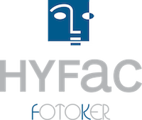 логотип фоккера